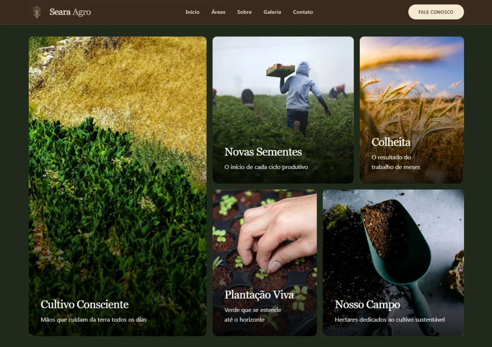 Site Seara Agro